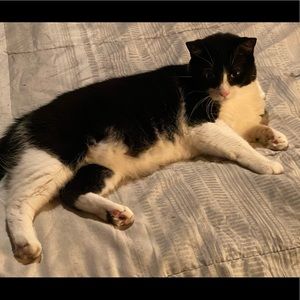 Meet your Posher, Edmund